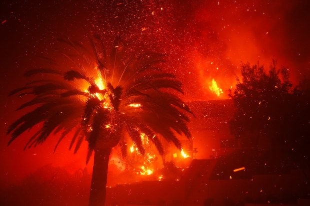 The Palisades Fire burns trees and homes