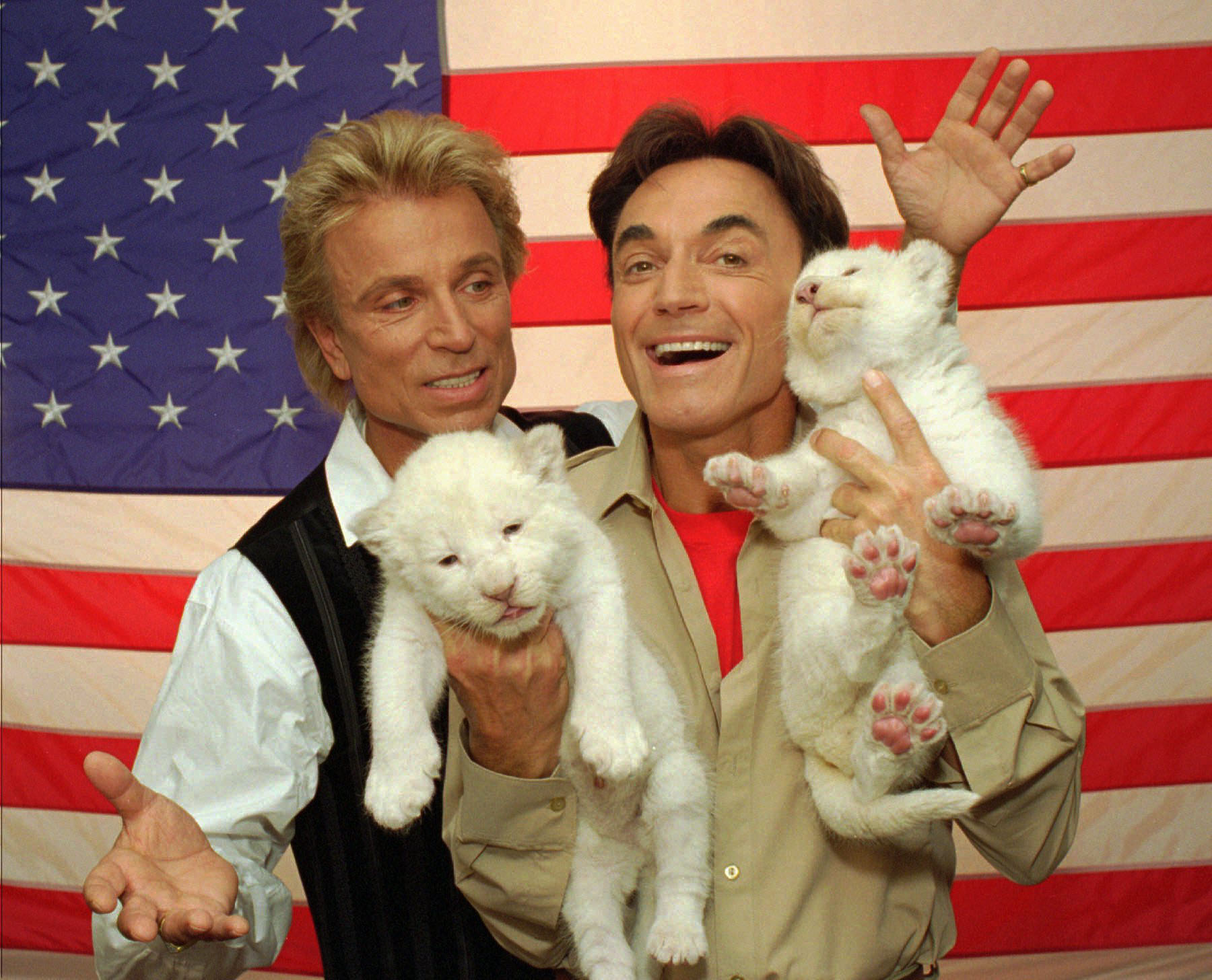 Two rare, 18-day-old white lion cubs squirm their way through a photo session with their new American hosts, illusionists Siegfried, left, and Roy on May 2, 1996, in Las Vegas. The cubs, a male named 
