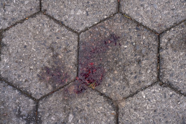 Some blood could be seen inside the park